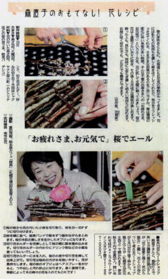 2016年の活動実績