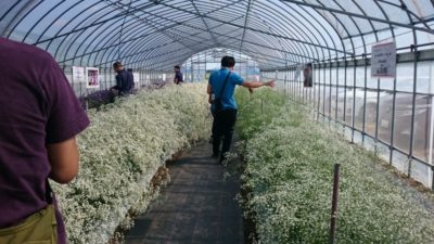 試験農場視察へ