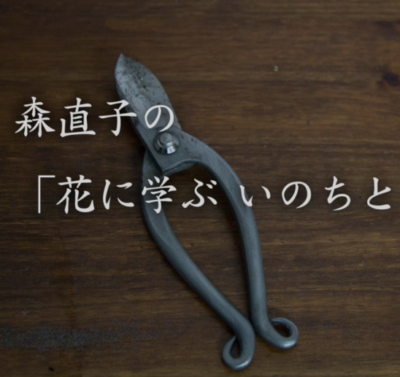 %e3%82%b9%e3%82%af%e3%83%aa%e3%83%bc%e3%83%b3%e3%82%b7%e3%83%a7%e3%83%83%e3%83%88-2016-09-22-21-59-04