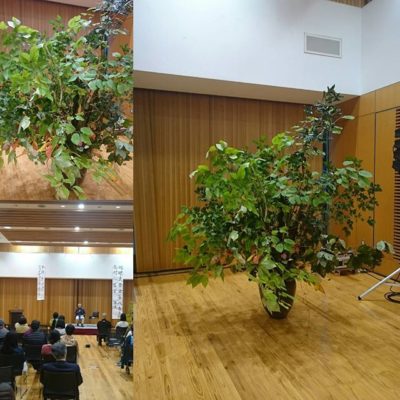 映画上映会　会場花