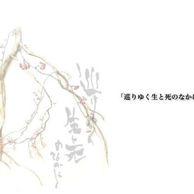 名古屋での作品インスタレーション