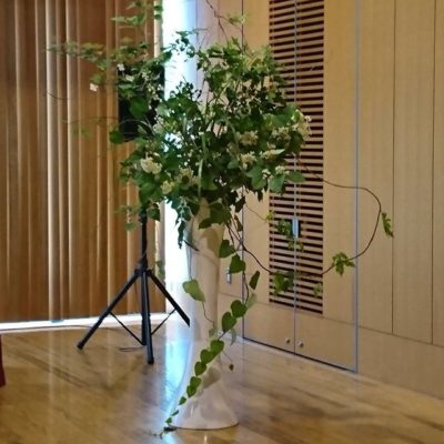 映画上映会＆講演会のいけこみ