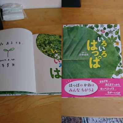 いろいろはっぱ