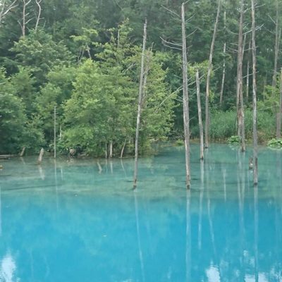 生徒さんとの旅3