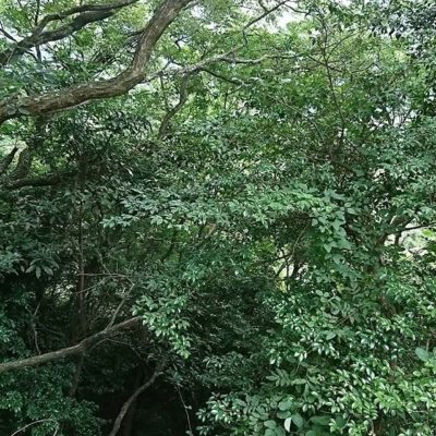 花育指導員養成  福岡県糸島市