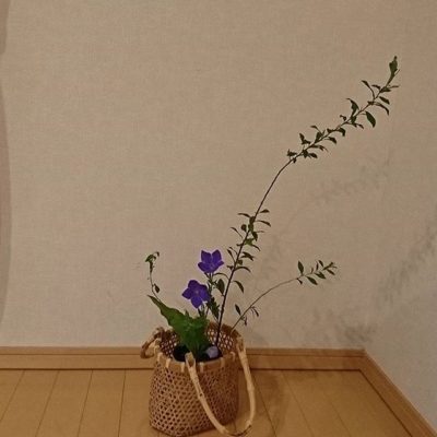 撮影用の花を指導　福岡にて