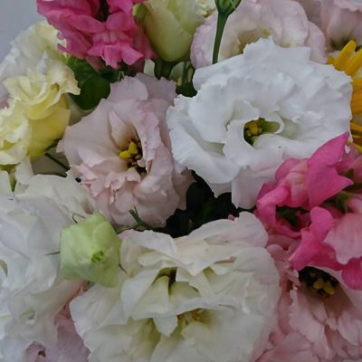 9月24日から、気づきの花塾始まります！