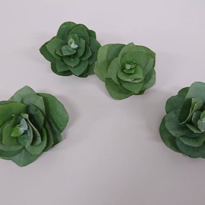 NHK文化センター札幌教室　ユーカリ