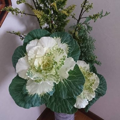 講座が続いています