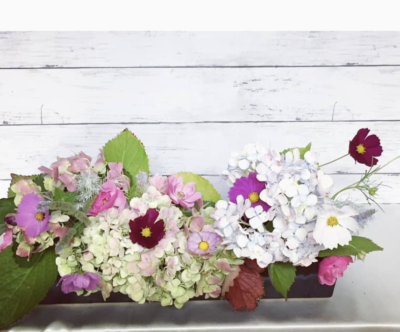 講演　鳥取県各地