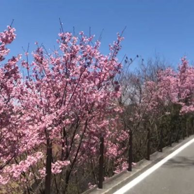 文化センター教室にて