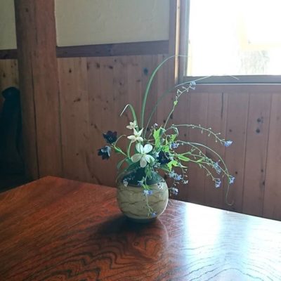 開拓時代の薬草園