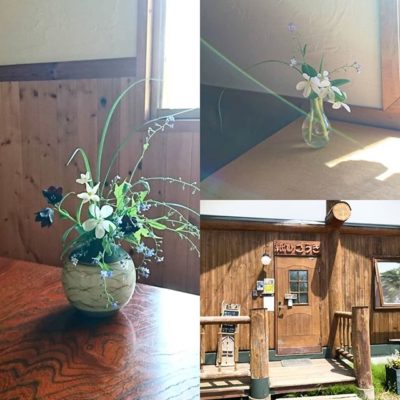 6月30日　おさんぽ花塾-草花と遊ぶ　イベントご案内