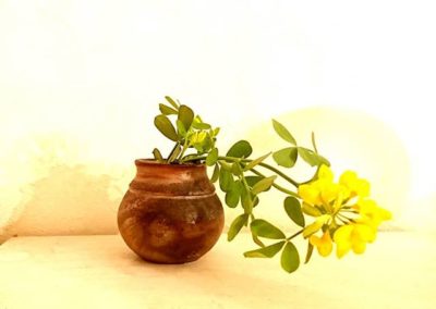 コロナウイルスの影響で