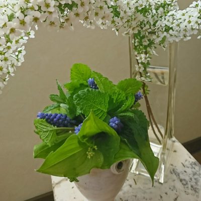 庭の花と 20200511