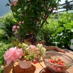 花育教室（療育対応）カリキュラムが完成しました！