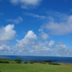 森直子の活動がドキュメンタリー映画になります