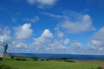 森直子の活動がドキュメンタリー映画になります