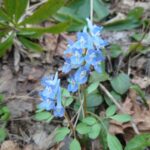 お話会や教室や