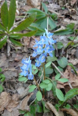 お話会や教室や