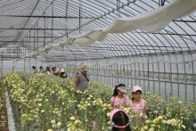 花のいのち 人のこころ