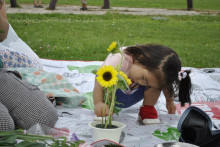 花のいのち 人のこころ