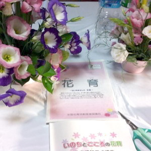 2008年の活動実績