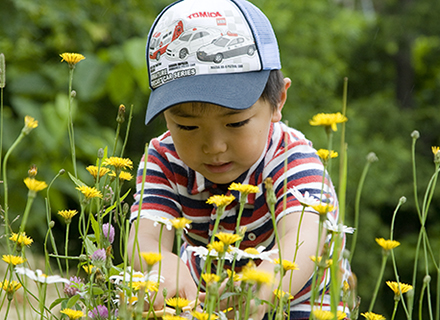 花育・花育講師人材育成