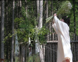 2009年の活動実績